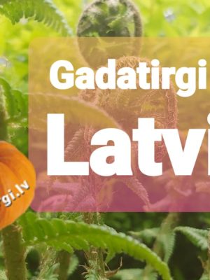 1000x250 px Web dizains KUSTĪGA banera izveide