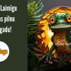 Web kartiņas